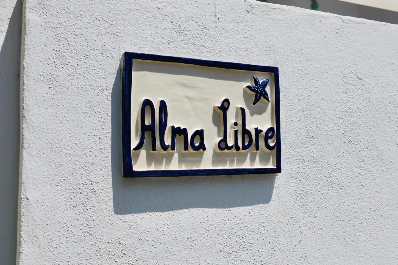Alma Libre Beach Apartment Колонья Сант Джордин Экстерьер фото